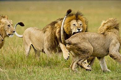 国产独立游戏《加把劲魔女》在Steam开启免费试玩  预计2023年上架正式版