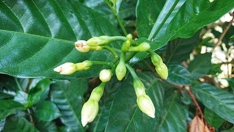 《上古卷轴》资深配音演员脱离生命危险 致谢众筹粉丝